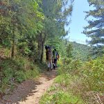 travel-auli-hikers-on-way-to-gonkh