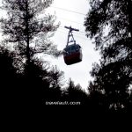 travel-auli-ropeway-cabin-through-dense-woods