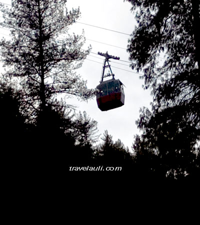 travel-auli-ropeway-cabin-through-dense-woods