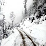 travel-auli-towards-auli-on-fresh-snow