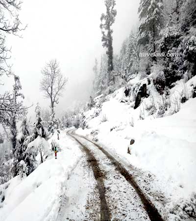 travel-auli-towards-auli-on-fresh-snow