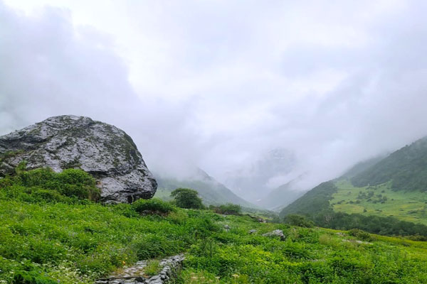 the-valley-of-flowers-on-1s