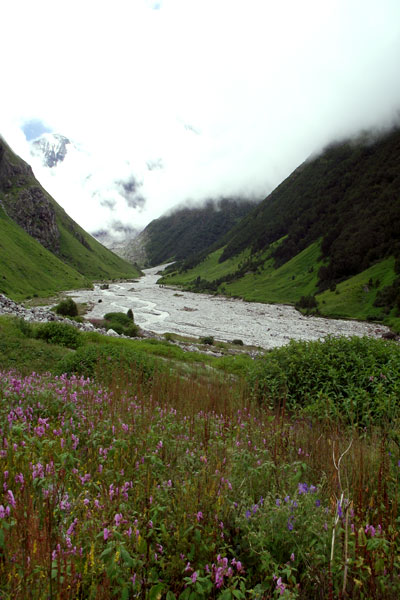 valley-of-flowers-pushpawat