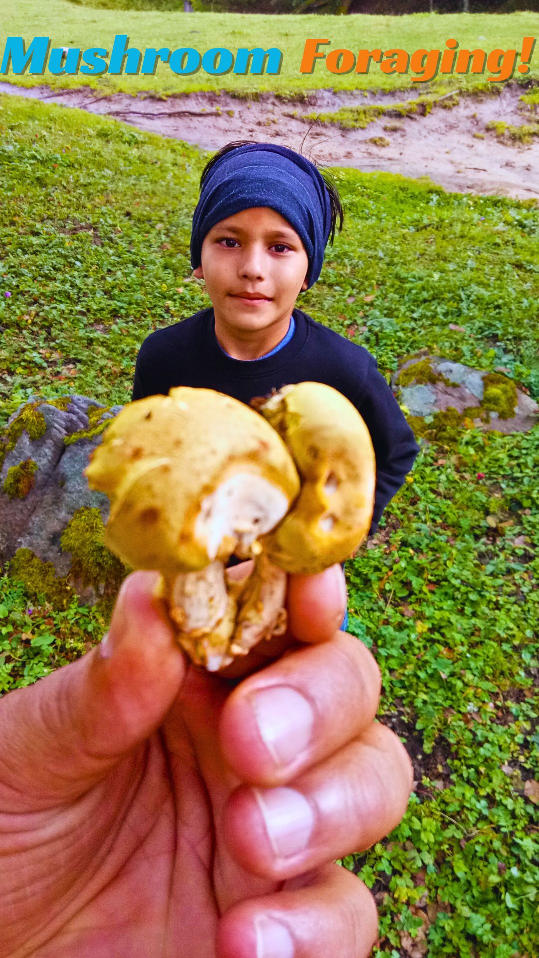 mushroom foraging in the woods near the Gorson Bugyal